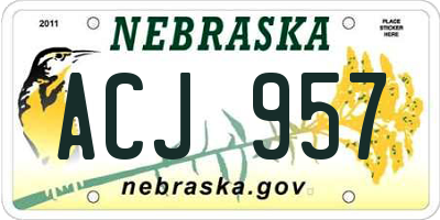 NE license plate ACJ957