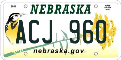 NE license plate ACJ960