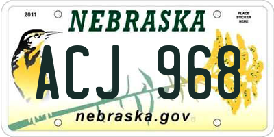 NE license plate ACJ968