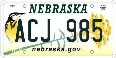 NE license plate ACJ985