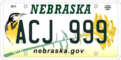 NE license plate ACJ999