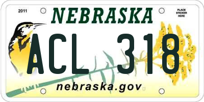NE license plate ACL318