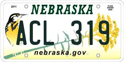 NE license plate ACL319