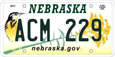 NE license plate ACM229