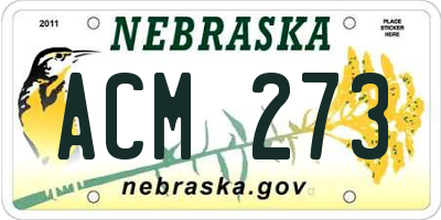 NE license plate ACM273