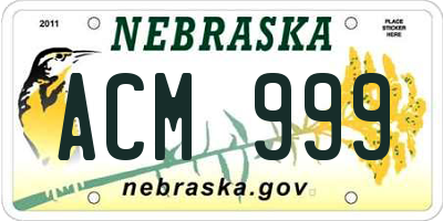 NE license plate ACM999