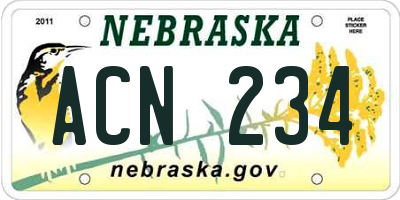 NE license plate ACN234