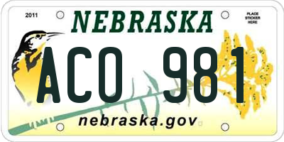 NE license plate ACO981