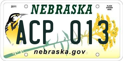 NE license plate ACP013