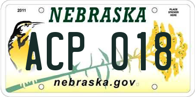 NE license plate ACP018