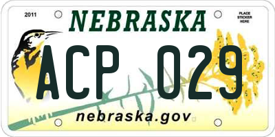 NE license plate ACP029