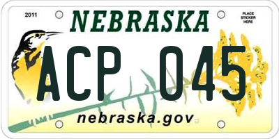 NE license plate ACP045