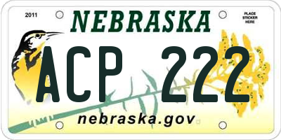 NE license plate ACP222