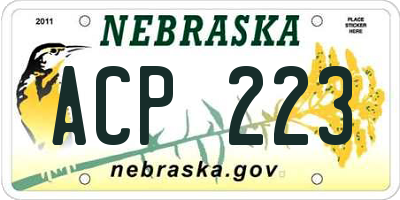 NE license plate ACP223