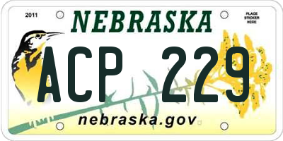 NE license plate ACP229