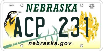 NE license plate ACP231