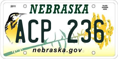 NE license plate ACP236