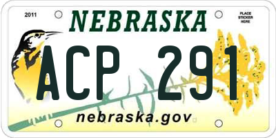 NE license plate ACP291
