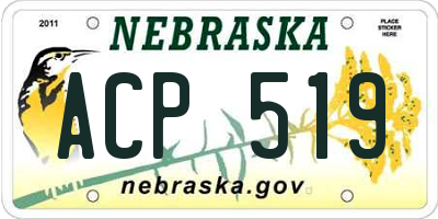 NE license plate ACP519