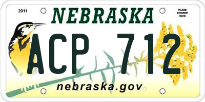 NE license plate ACP712