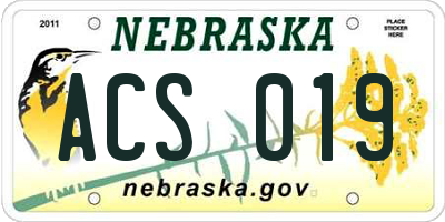 NE license plate ACS019