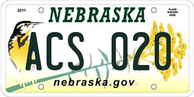 NE license plate ACS020