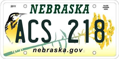NE license plate ACS218