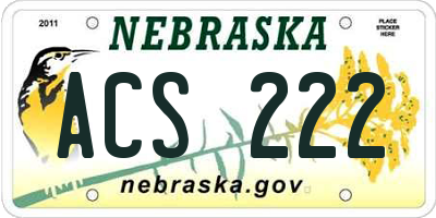 NE license plate ACS222