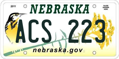 NE license plate ACS223