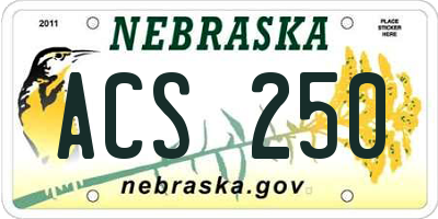 NE license plate ACS250