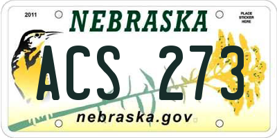 NE license plate ACS273