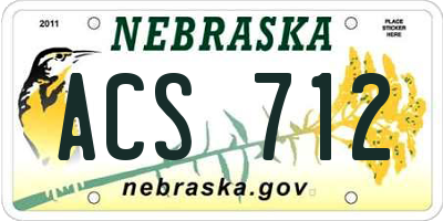 NE license plate ACS712