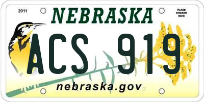 NE license plate ACS919