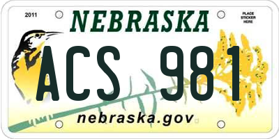 NE license plate ACS981