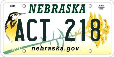 NE license plate ACT218