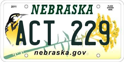 NE license plate ACT229