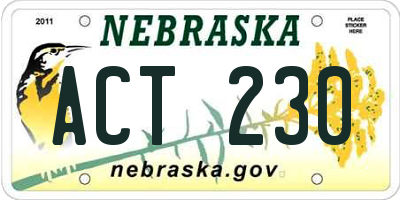 NE license plate ACT230