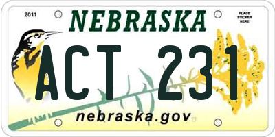 NE license plate ACT231