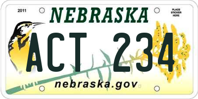 NE license plate ACT234