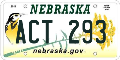 NE license plate ACT293