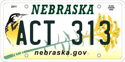 NE license plate ACT313