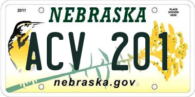 NE license plate ACV201
