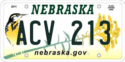 NE license plate ACV213