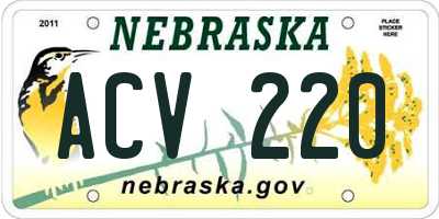 NE license plate ACV220