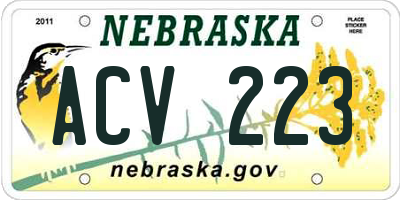 NE license plate ACV223