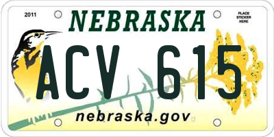 NE license plate ACV615