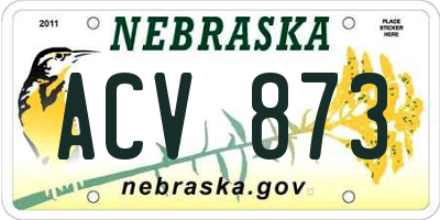 NE license plate ACV873