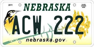 NE license plate ACW222