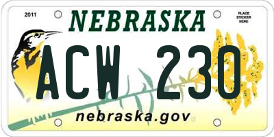 NE license plate ACW230