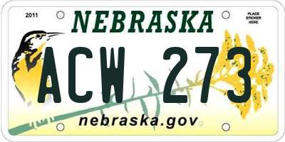 NE license plate ACW273